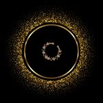 Nose Pin - New Collection