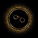 Nose Pin - New Collection