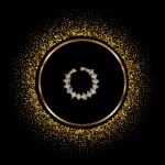 Nose Pin - New Collection